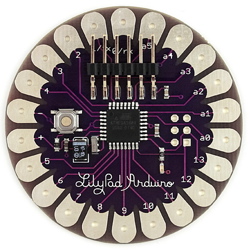 lilypad_3