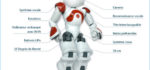Nao : Le concept du robot humanoïde.