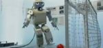 Robots : le robot japonais de l’année.