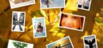 Photovisi : Créer vos fonds d’écran à partir de photos en ligne.