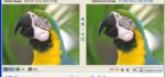 Radical Image Optimization Tool : Réduisez la taille de vos images en surveillant le rendu final.