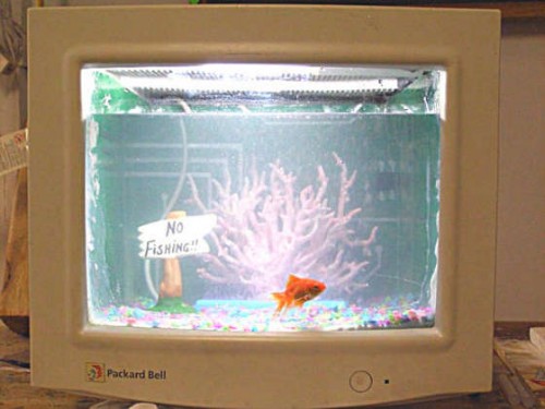 crt-fish-tank