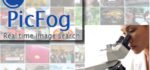 PicFog : Un moteur de recherche d’image Twitter temps réel.