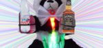 SOBEaR : Le Robot barman responsable.