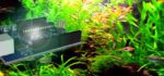 Contrôlez votre aquarium avec un Arduino.