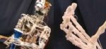 Un robot conçu sur le modèle humain.