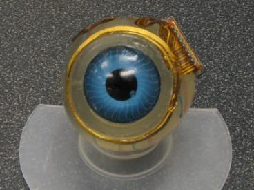 retinal_implant_2