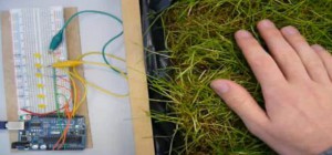 DIY : Fabriquer l&rsquo;herbe interactive de Pandora – Avatar.