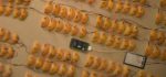 Vidéo : Combien faut-il d’oranges pour charger un Iphone.