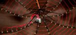 DIY : Un parapluie à LED contrôlé par un kit Arduino.
