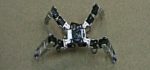 Dragoon : Une robot quadrupède qui se déplace comme une araignée