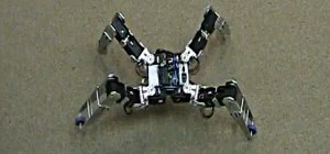 Dragoon : Une robot quadrupède qui se déplace comme une araignée