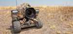 BeetleCam : Le robot photographe débarque dans la savane