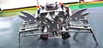Vidéo : Un robot animal sur le modèle du crabe.