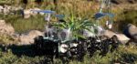Découverte : Un robot plante nomade qui dépollue les rivières.