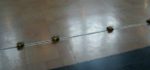 Vidéo : Record du monde de robots suiveurs de ligne