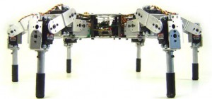 LinxMotion AH3-R : Un robot hexapode avec 18 servo-moteurs pour plus de mobilité.