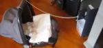 DIY : Comment un programmeur geek berce son bébé avec un simple lecteur CD-Rom