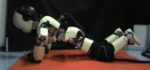 Eye of the Tiger : Quand le robot iCub se prend pour Rocky