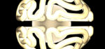 Design : Une ampoule fluo-compacte en forme de cerveau
