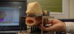 Une bouche robotisée développée sur le modèle humain