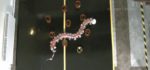 Un robot sur le modèle animal du ver qui évite les obstacles