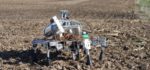 Prospero : Le robot fermier qui va révolutionner l’agriculture
