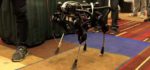 SQ1 : Le robot quadrupède de SimLab