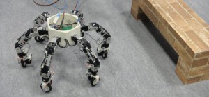 Asterisk : Un robot insecte omni-directionnel vraiment impressionnant