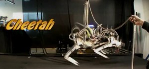 Cheetah : Le dernier robot de Boston Dynamics et DARPA qui galope….