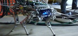HyQ : Premiers tests en extérieur pour le robot quadrupède Italien
