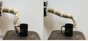 Robotique : Un bras manipulateur sur le modèle de la trompe de l&rsquo;éléphant