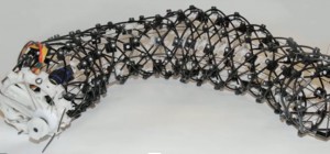Une structure de robot qui permet un déplacement comme un ver