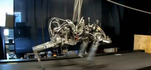 Video : Cheetah le robot quadrupède qui court plus vite qu&rsquo;un humain