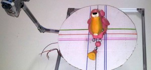 DIY : Fabriquer un scanner 3D à bas prix avec un Arduino et un appareil photo