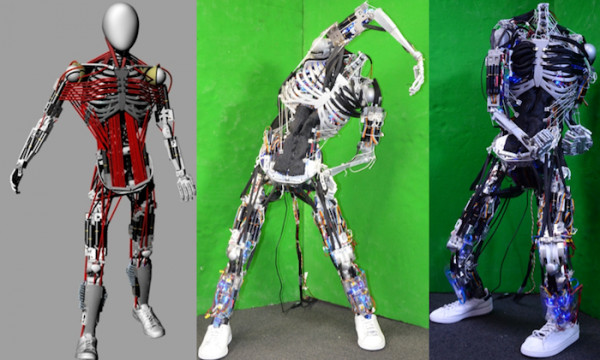 kenshiro-le-robot-fait-de-muscles-et-dos-artificiels