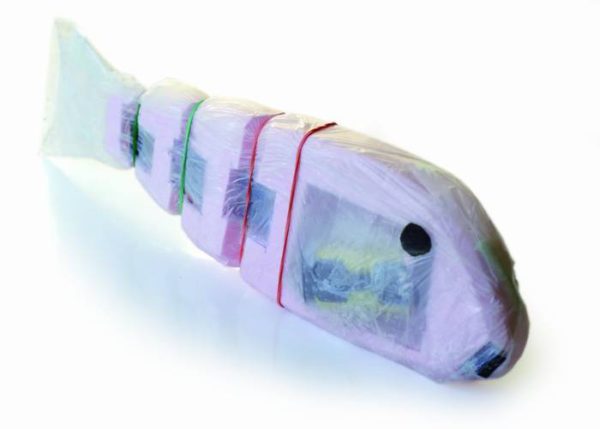 robofish-un-robot-poisson-realise-a-base-arduino-01