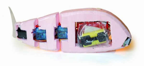 robofish-un-robot-poisson-realise-a-base-arduino-02