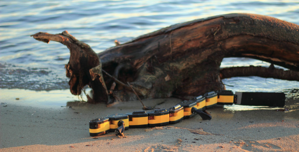 Un robot sur le modèle animal de la Salamandre qui nage et qui marche