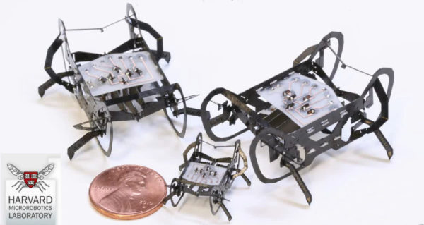 the-harvard-ambulatory-microrobot-un-petit-robot-bien-rapide