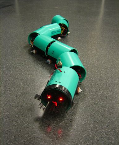 Robotique : le robot Serpent.