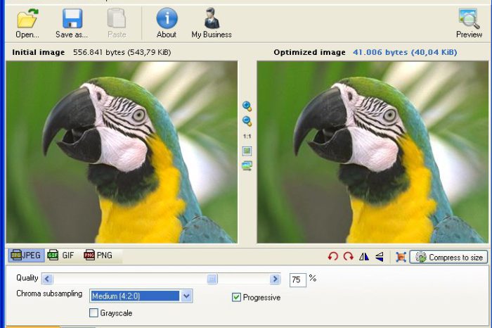 Radical Image Optimization Tool : Réduisez la taille de vos images en surveillant le rendu final.