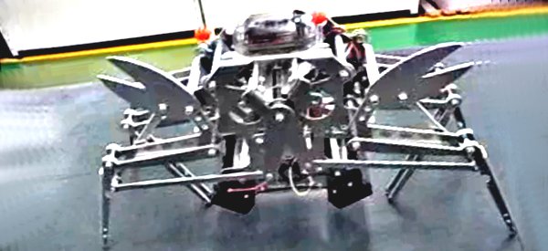 Vidéo : Un robot animal sur le modèle du crabe.