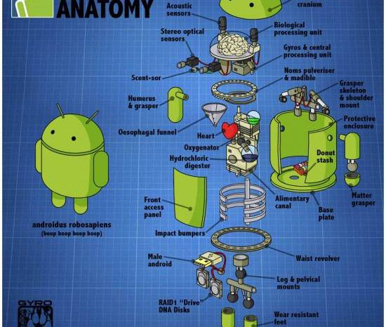 Image : Anatomie d'un Bugdroid
