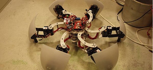 MorpHex : Un robot hexapode capable de morphing