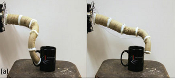 Robotique : Un bras manipulateur sur le modèle de la trompe de l'éléphant