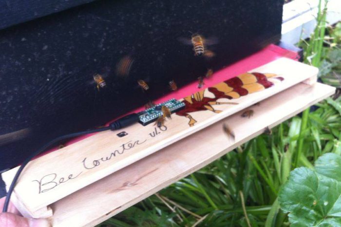 DIY : Fabriquer un compteur d'abeilles pour les ruches