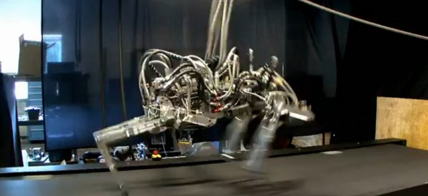 Video : Cheetah le robot quadrupède qui court plus vite qu'un humain