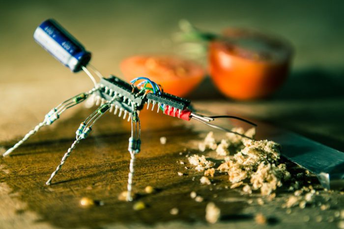 Les sculptures électroniques en forme d'insectes de Luca di Filippo