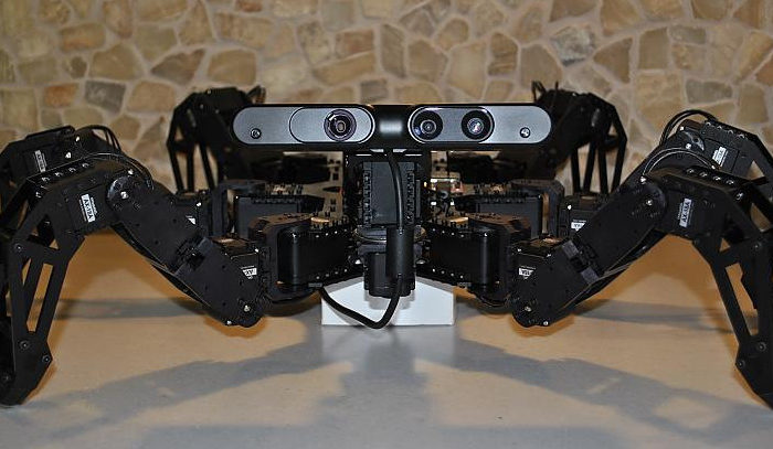 Charlotte : Un robot hexapode à base Rasperry PI avec une vision 3D